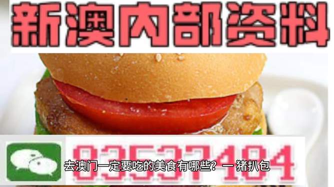 新門內部資料精準大全——探索未知領域的關鍵信息，新門內部資料大全，揭秘未知領域的關鍵信息