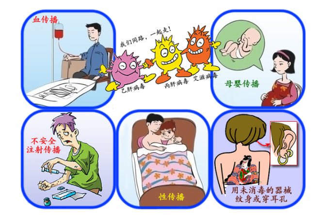 梅毒傳播途徑，深入了解與有效預防，梅毒傳播途徑詳解，深入了解與有效預防措施