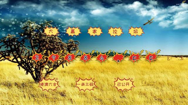 澳門4949開獎結果最快四不像解析，澳門4949開獎結果解析與四不像探討