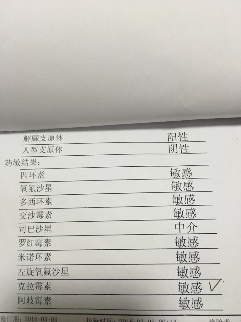 支原體陽性轉陰的時間，了解與應對，支原體陽性轉陰的時間及應對策略