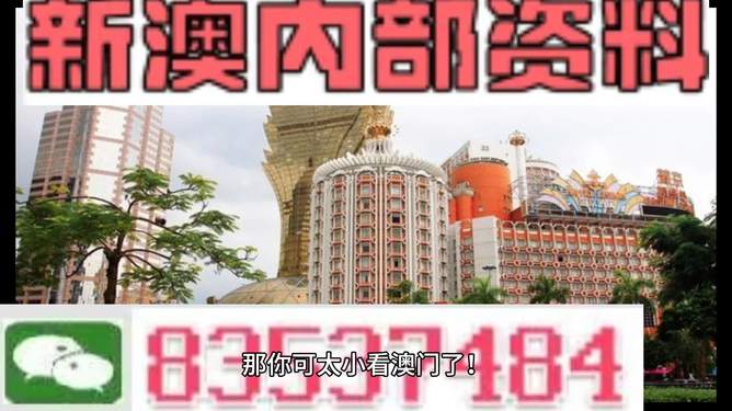 新澳門免費資料大全精準版,探索與解析,澳門免費資料大全精準版解析探索