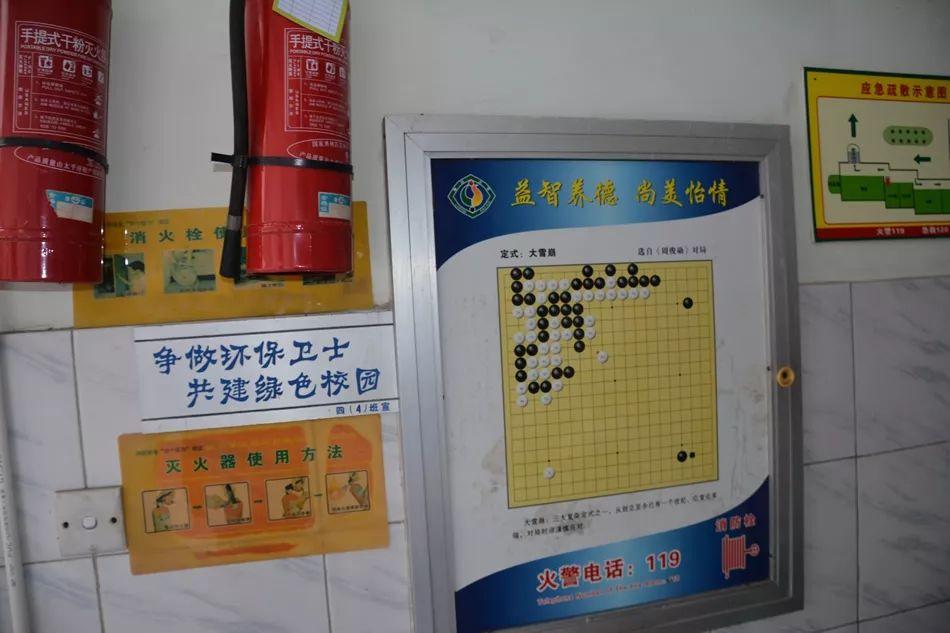 萬人之上王中王,打一生肖——深度解析與探討,萬人之上的生肖王者,深度解析與探討