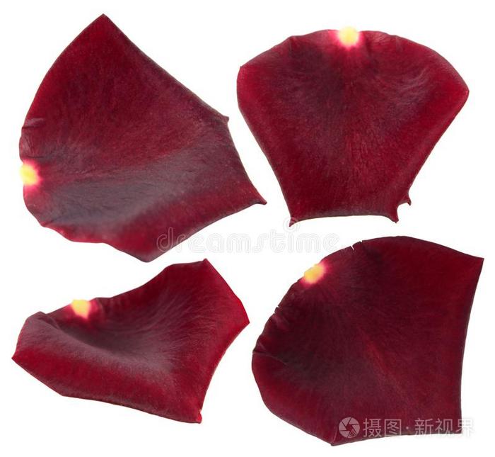 探索顏色之謎,為什么某些部位的兩瓣呈現黑色與內部紅色的神秘組合,揭秘顏色之謎,身體部位兩瓣神秘組合黑色與內部紅色的奧秘探索