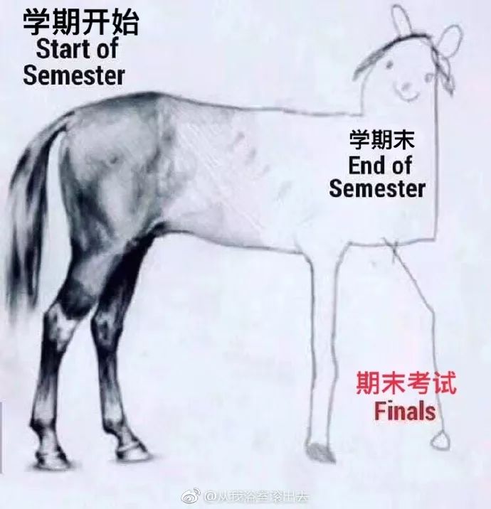 四不像一肖圖王中王是誰——揭秘神秘人物背景,揭秘四不像一肖圖王中王神秘人物背景