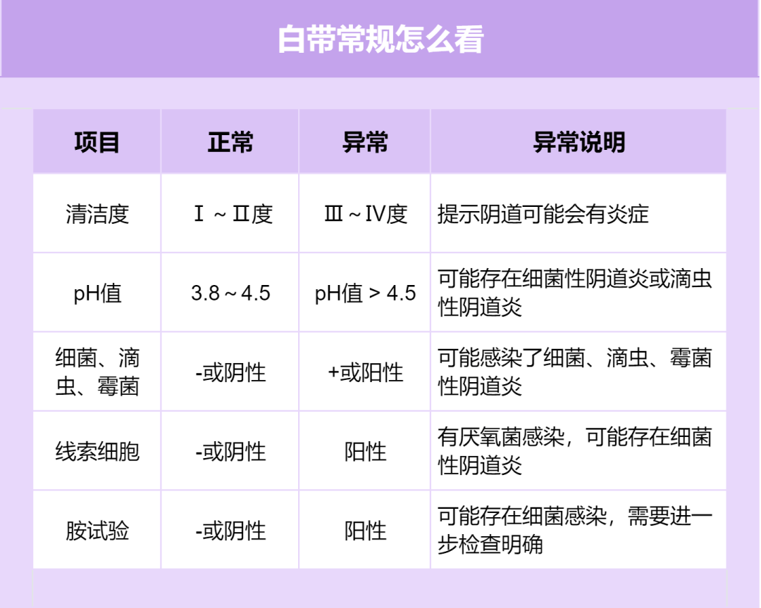 關于白帶,了解、關注與呵護女性健康的重要一環,女性健康的關鍵,了解、關注與呵護白帶的重要性