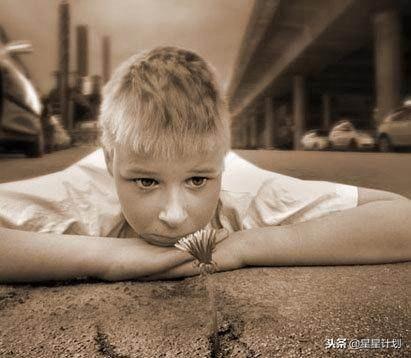 自閉癥患者的智力發(fā)展,一般智力停留在幾歲?解析與關(guān)注,自閉癥患者智力發(fā)展解析,停留在哪個(gè)年齡段?關(guān)注與解析