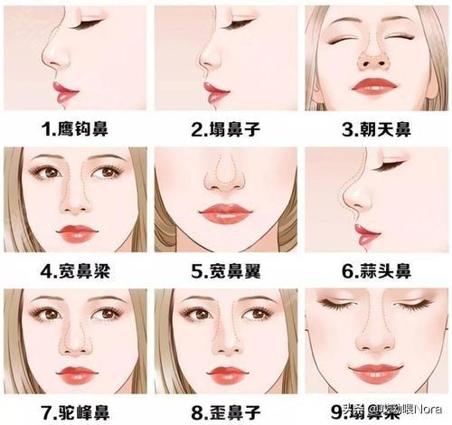 揭秘鼻型的奧秘,十種鼻型圖片詳解,揭秘鼻型的奧秘,十種鼻型詳解與圖片展示