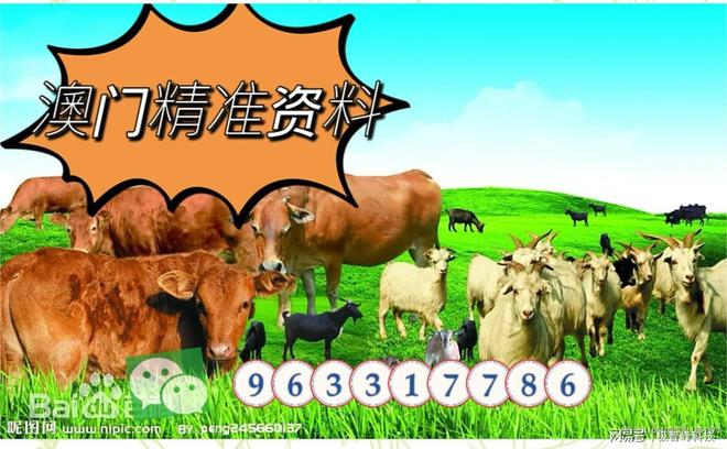 今晚特馬生肖必開資料,揭秘生肖運勢與預(yù)測秘密,揭秘生肖運勢預(yù)測,今晚特馬生肖必開資料獨家解析