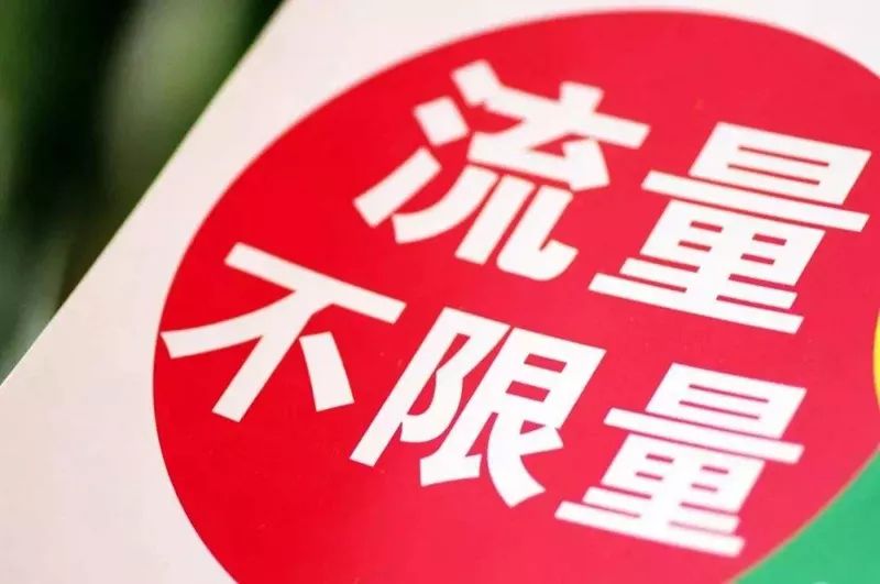 關于不包括的SEO文章,探索排除法則的重要性與應用,探索SEO中的排除法則,為何排除策略至關重要?