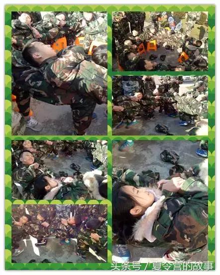 陸西軍事網,深度解析與全方位展望,陸西軍事網,深度解讀與未來展望