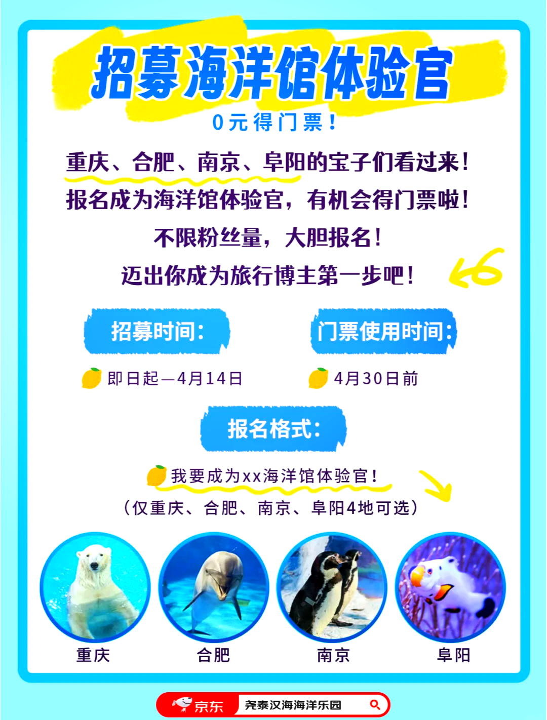 海底世界之旅,預約門票攻略及體驗指南,海底世界之旅,預約門票攻略與體驗指南全解析