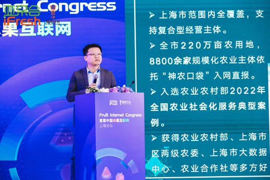 新2025澳門天天開好彩,深入探討精準預測與策略分析,澳門新2025彩票精準預測與策略深度探討