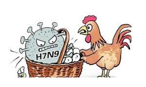 揭秘H7N9病毒，了解它的起源、特性與影響，H7N9病毒揭秘，起源、特性與影響全解析