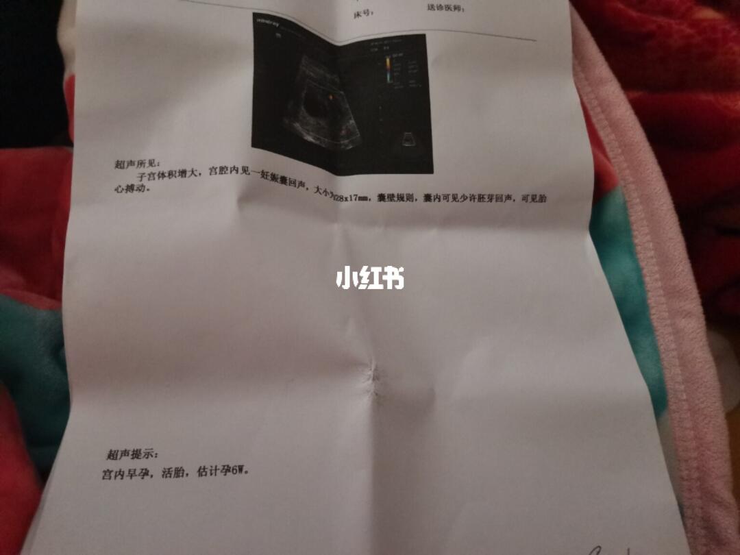 胎停誤診現(xiàn)象頻發(fā),我們需要深入了解與防范,胎停誤診頻發(fā),深入了解與防范的重要性