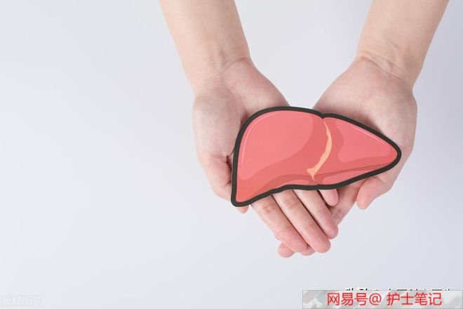 肝損傷恢復(fù)時(shí)間解析,多久能夠重返健康?,肝損傷恢復(fù)時(shí)間詳解,多久可重返健康生活?