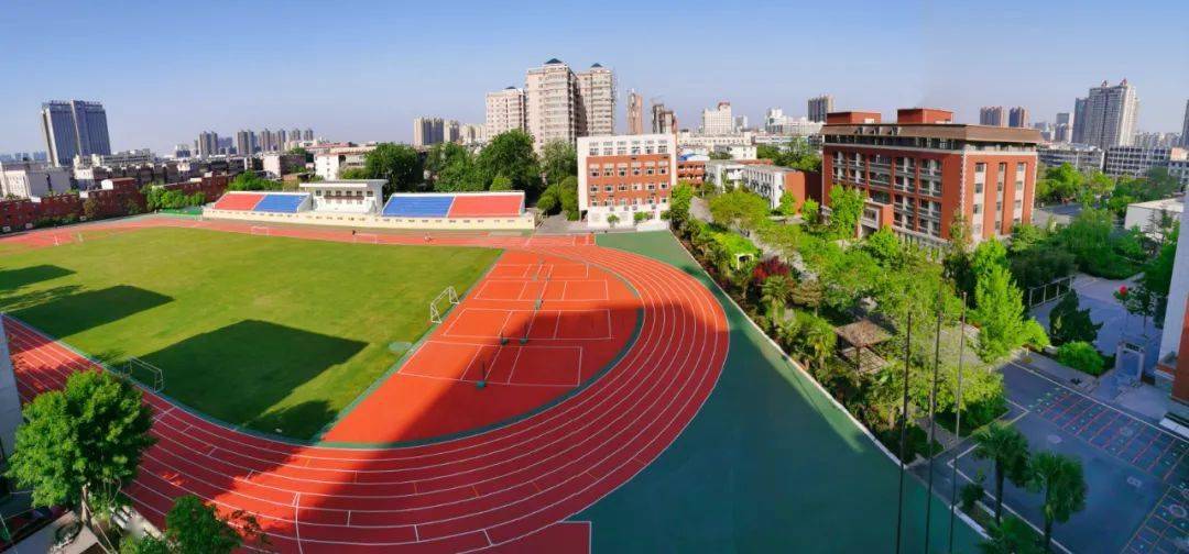 王中王平特一肖期期公開的奧秘與策略,SEO視角的解讀,王中王平特一肖期期公開的奧秘與策略,從SEO視角解讀的洞察