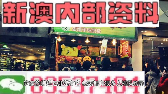 新澳天天開彩資料大全，全方位解讀彩票魅力與策略，新澳天天開彩資料大全，揭秘彩票魅力與策略全攻略