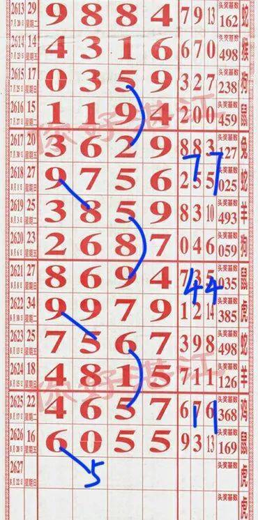 揭秘六令彩王中王,一肖中特的奧秘,揭秘六令彩王中王奧秘,一肖中特真相探索