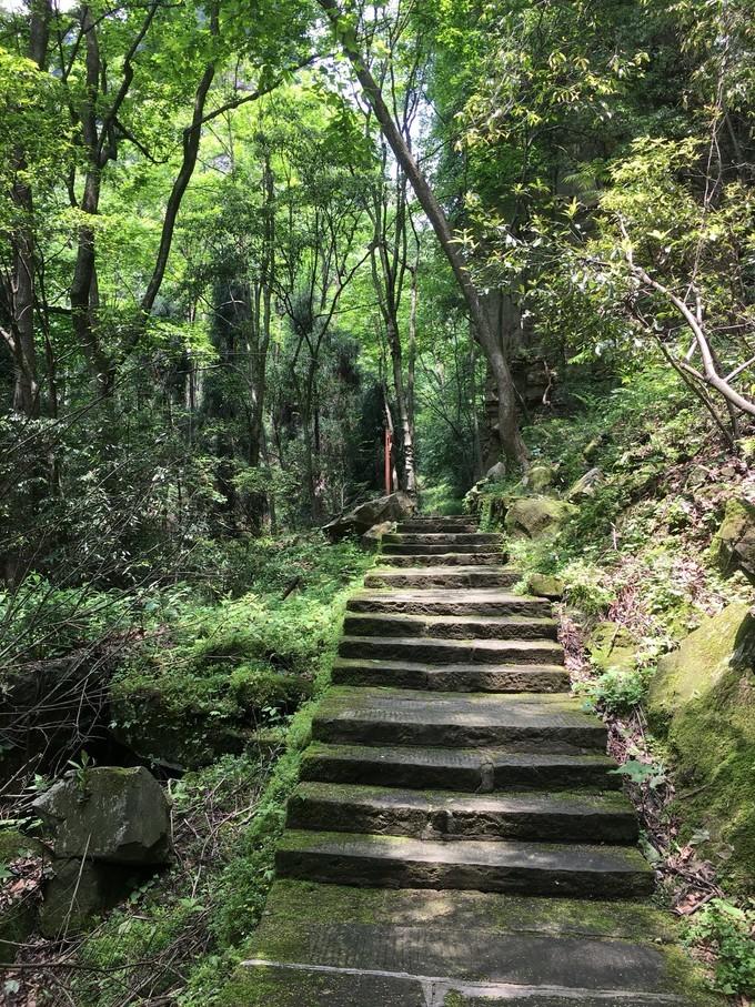 芙蓉鎮與鳳凰古城,哪個更勝一籌?深度解析兩者魅力所在,芙蓉鎮與鳳凰古城,深度對比,誰更勝一籌?
