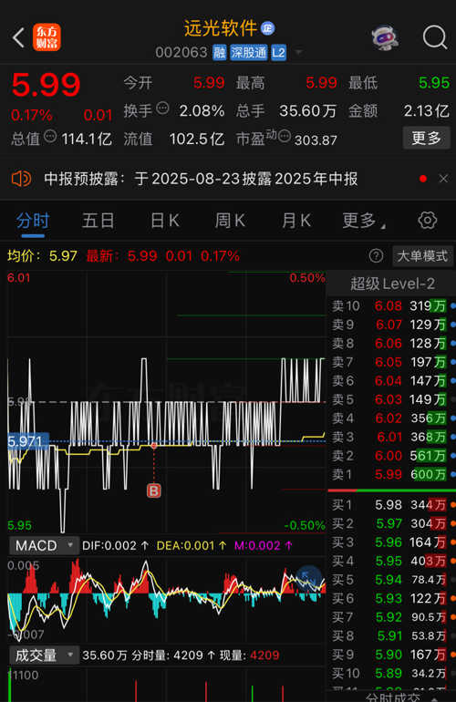 遠(yuǎn)光軟件股票,投資潛力與市場前景分析,遠(yuǎn)光軟件股票,投資潛力與市場前景深度解析