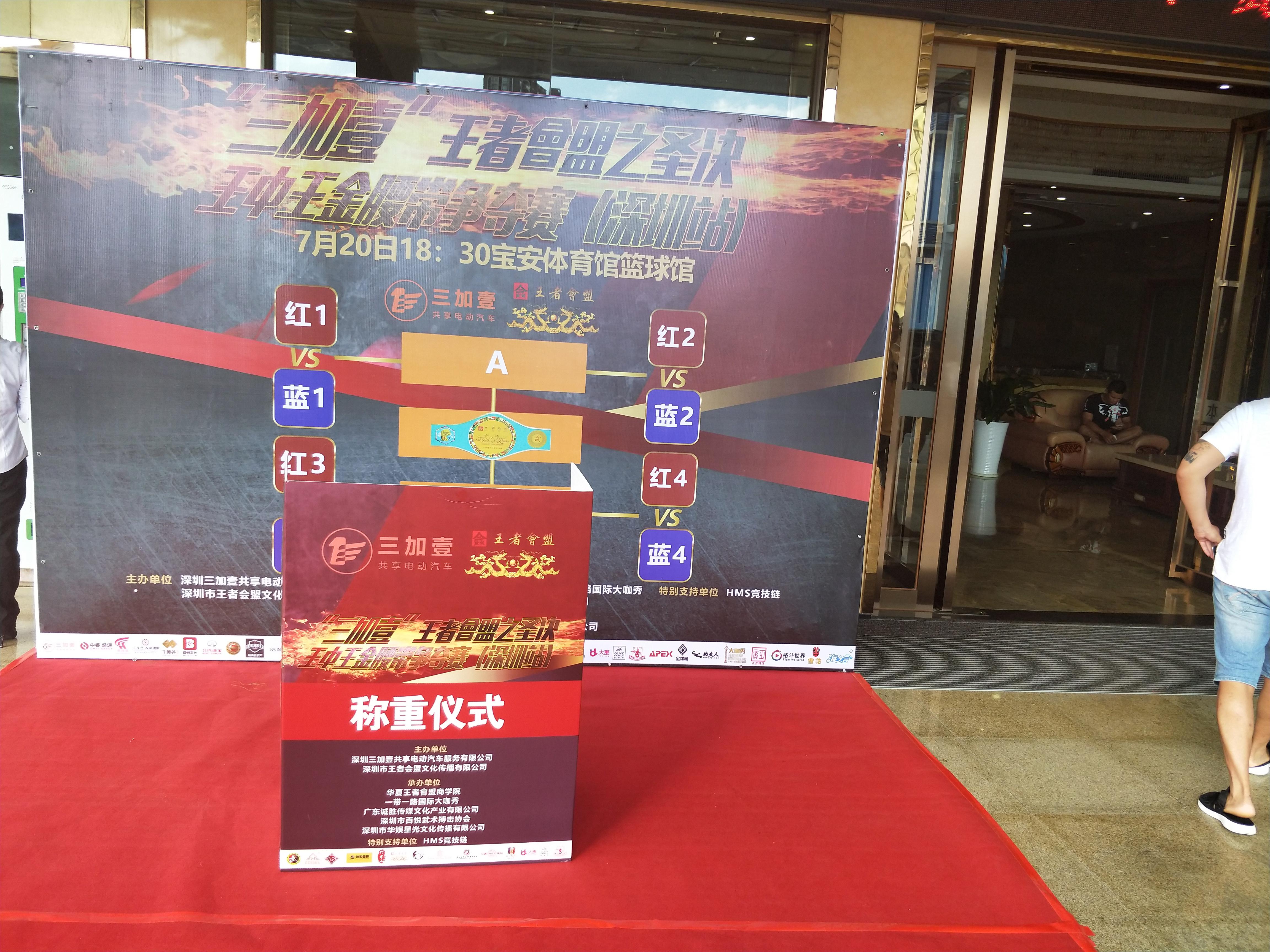 王中王黃金一肖精準資料,揭秘生肖運勢與財富奧秘,揭秘生肖運勢與財富奧秘,王中王黃金一肖精準資料解析