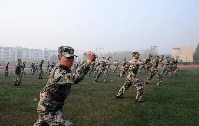解析軍士長為何不升軍官,背后的原因與考量,解析軍士長晉升停滯背后的原因與考量,為何未能成為軍官?