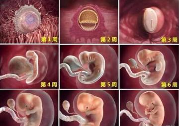 女生胸脹是不是懷孕了?解讀身體信號,了解真相,女生胸脹是否意味著懷孕?身體信號的真相解讀