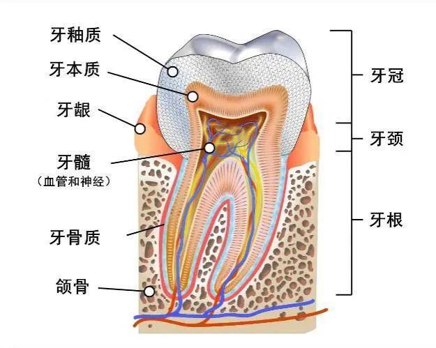 男人更年期一般多久,全面解析與關(guān)注,全面解析與關(guān)注,男人更年期的時長及影響