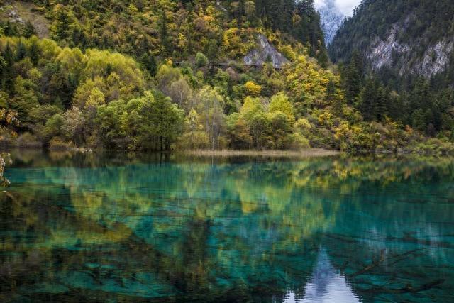 四川九寨溝景區(qū)簡(jiǎn)介——自然之美的瑰寶,四川九寨溝景區(qū),自然之美的瑰寶簡(jiǎn)介