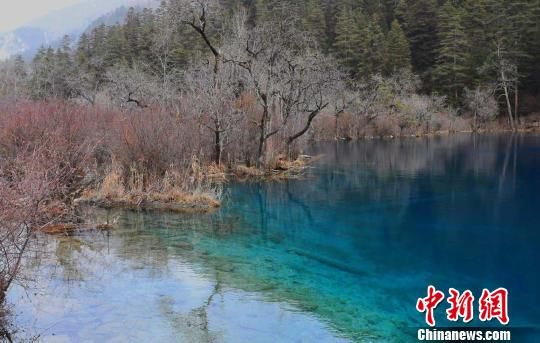 四川九寨溝景區(qū)簡(jiǎn)介——自然之美的瑰寶,四川九寨溝景區(qū),自然之美的瑰寶簡(jiǎn)介