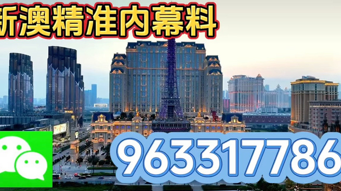 澳門最精準——探尋真正的精準之旅,澳門精準之旅,探尋真正的預測奧秘