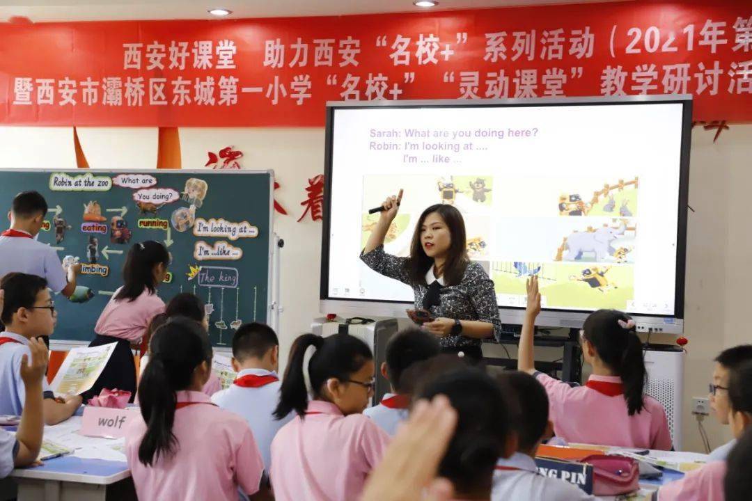 王中王17期子一生肖,揭秘生肖運勢與獨特魅力,王中王17期子一生肖,揭秘運勢與獨特魅力