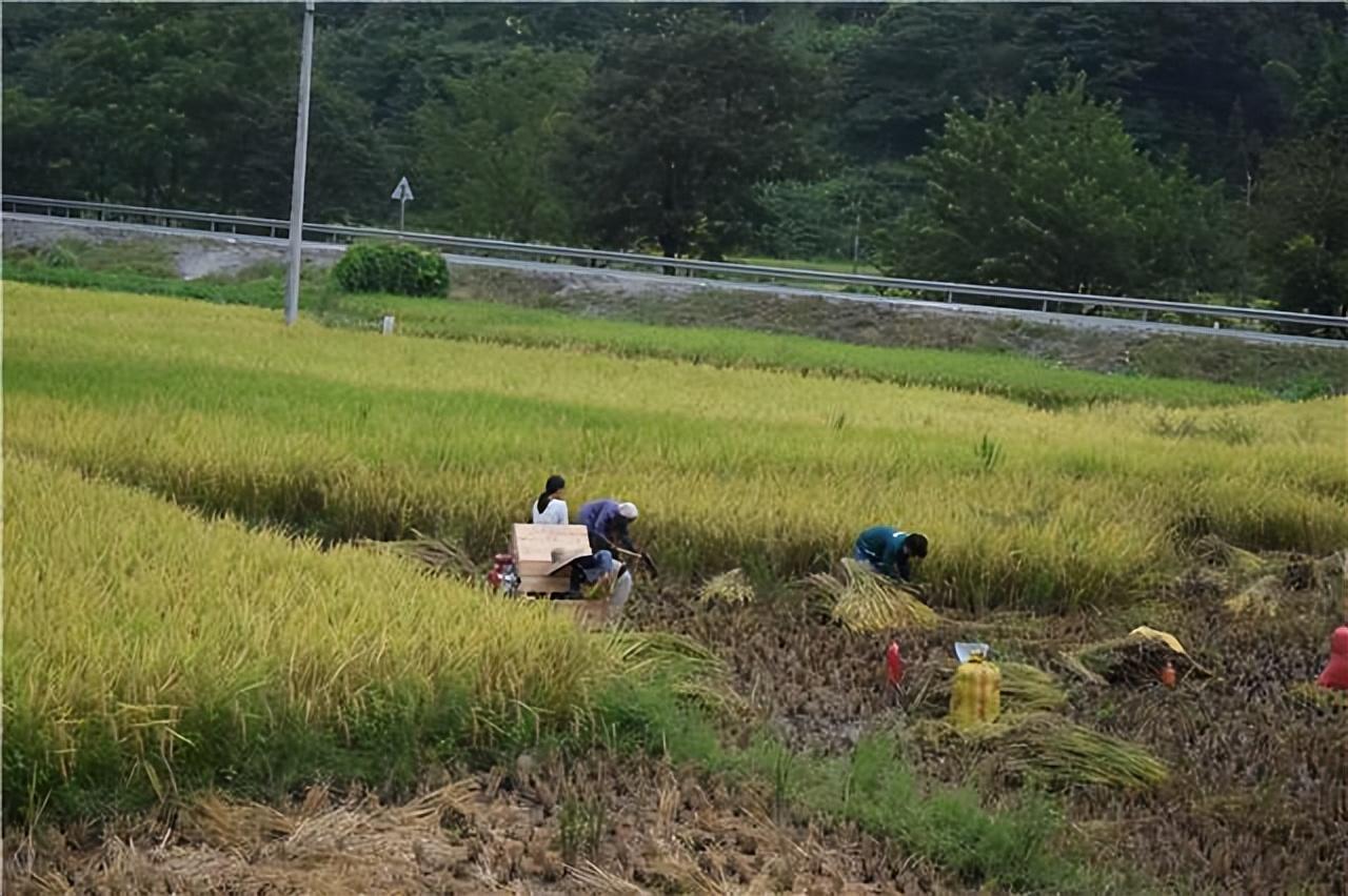 寶寶瘦小不吸收發育遲緩,原因、對策與關注重點,寶寶瘦小、發育遲緩,原因、對策及關注重點