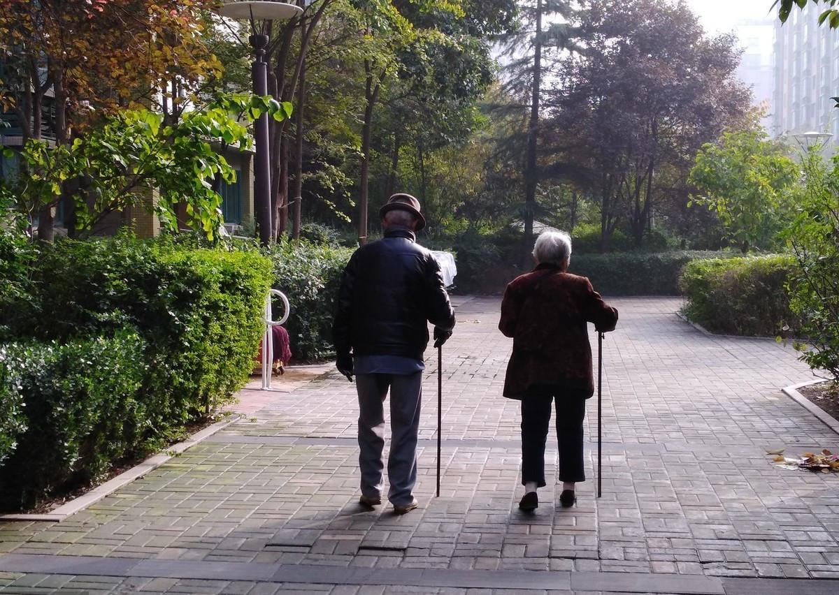 寶寶瘦小不吸收發育遲緩,原因、對策與關注重點,寶寶瘦小、發育遲緩,原因、對策及關注重點