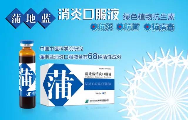 蒲地藍口服液的功效與作用,深入了解與正確使用,蒲地藍口服液,功效、作用及正確使用指南