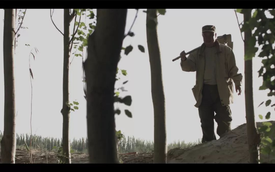 今晚劉伯溫四不像一肖圖,揭秘神秘預測背后的故事,揭秘劉伯溫四不像一肖圖的神秘預測故事