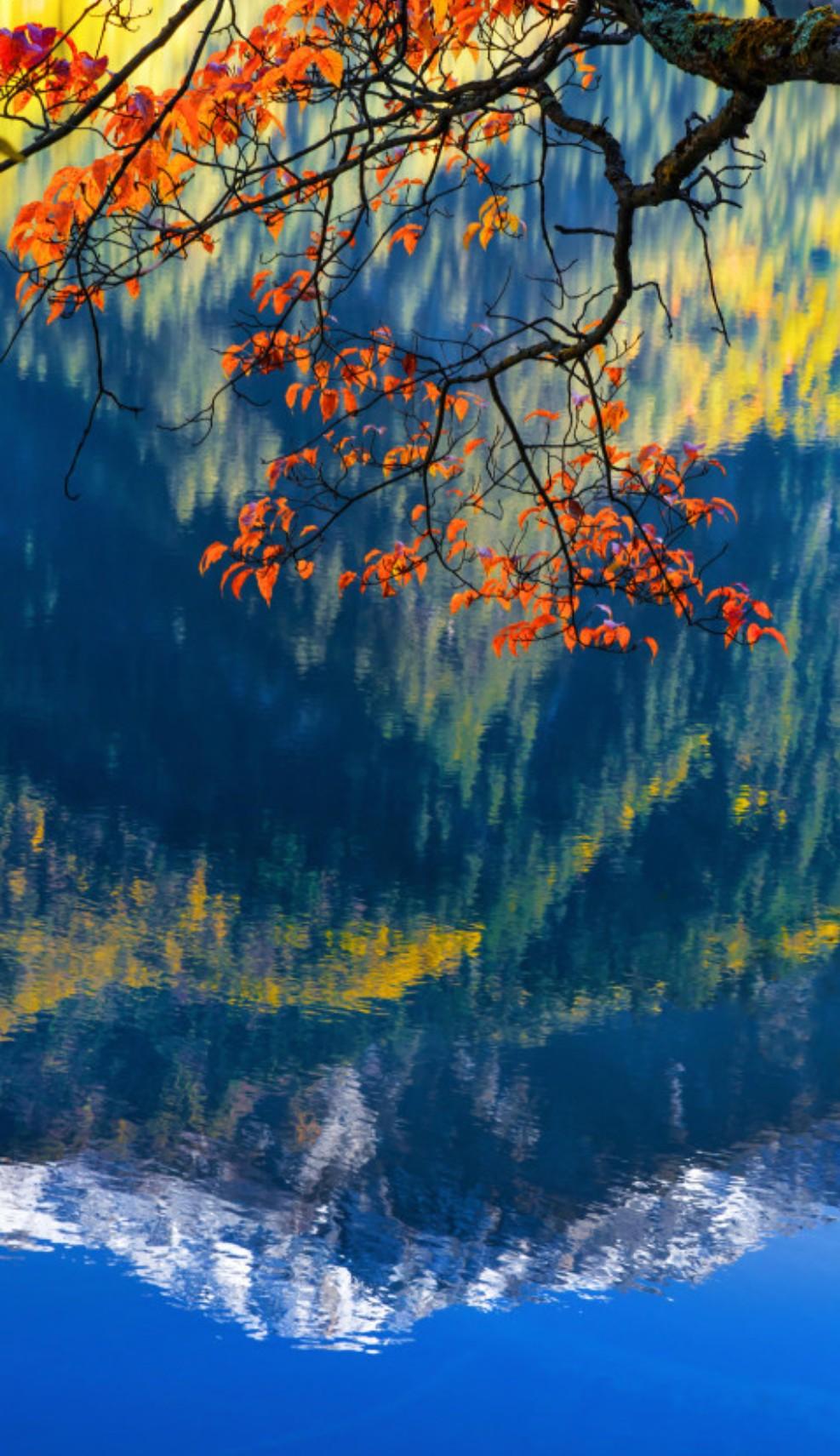 九寨溝風景介紹——大自然的絕美畫卷,九寨溝,大自然的絕美畫卷之旅
