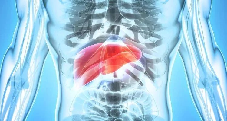 肝不好有什么癥狀,全面解析與關注,全面解析關注,肝臟不良癥狀的表現