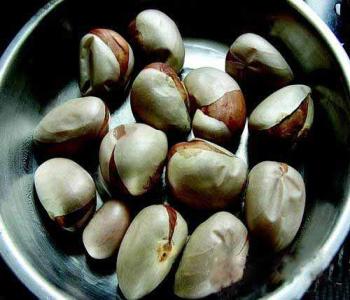 菠蘿蜜核,功效與作用的多面探索,菠蘿蜜核,功效與作用的全面解析