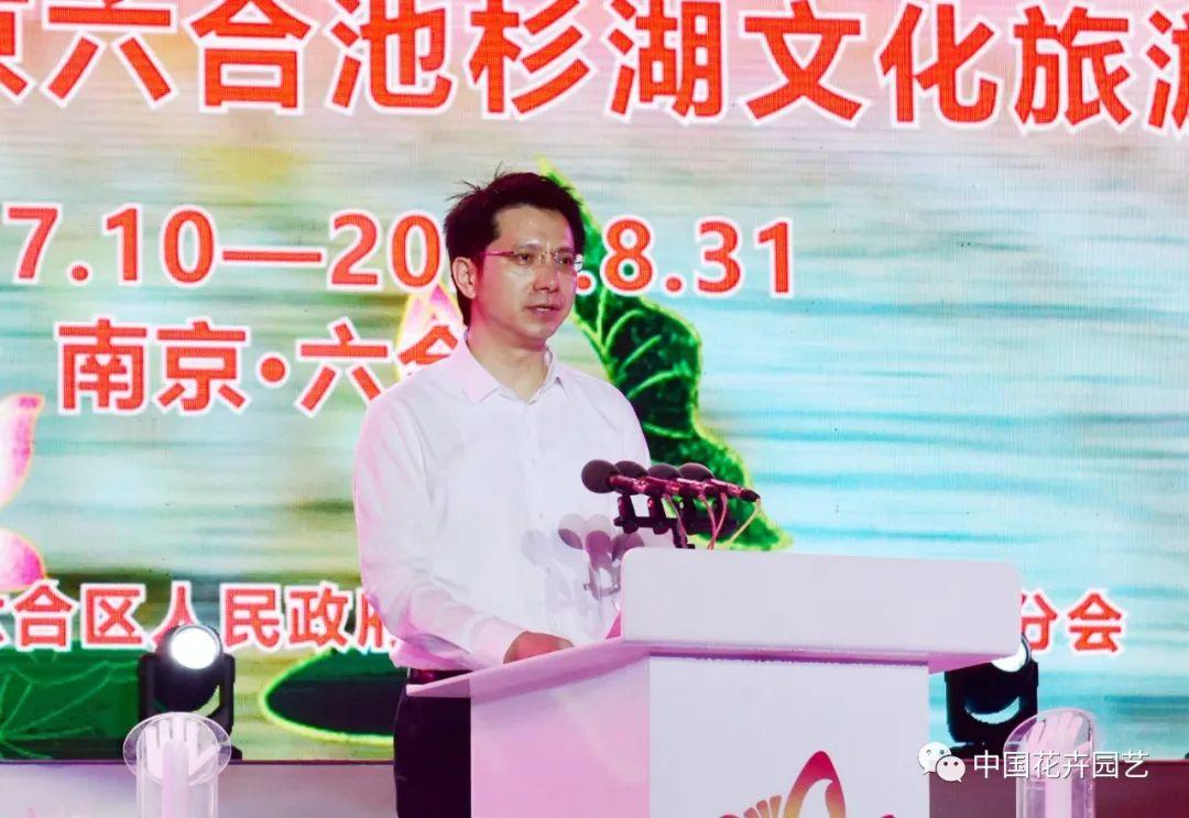 澳門六合之家,探索其獨特魅力與歷史背景,澳門六合之家,獨特魅力與歷史背景探索