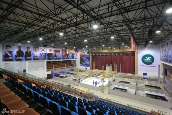 王中王一肖一馬中特平臺,探索與解析,王中王一肖一馬中特平臺深度探索與解析