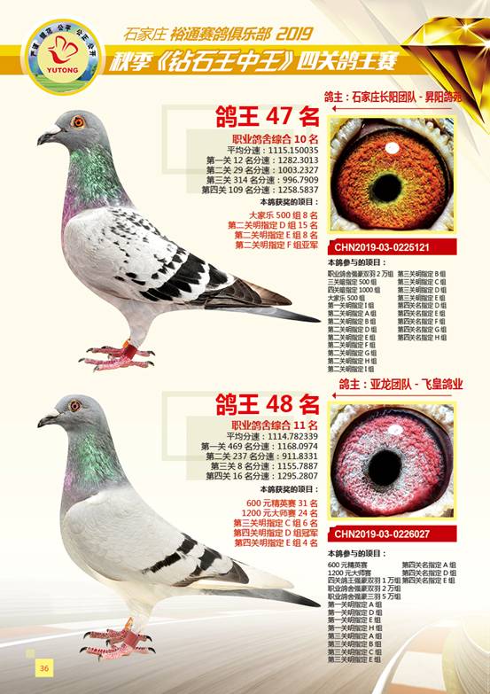 王中王一肖特四,深度解析與SEO優化策略,王中王一肖特四深度解析與SEO優化策略探討