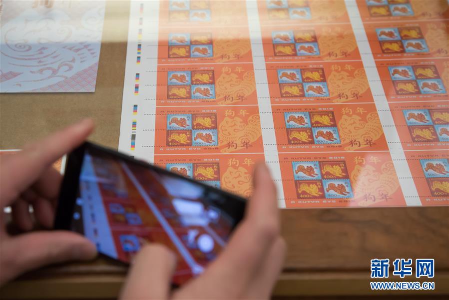 揭秘三肖必中三期必出資料,掌握幸運秘訣!,揭秘三肖必中三期秘訣,掌握幸運之鑰!