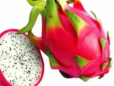火龍果的營養(yǎng)價值與健康益處,吃火龍果的好處,火龍果的營養(yǎng)價值與健康益處,吃火龍果的諸多好處解析