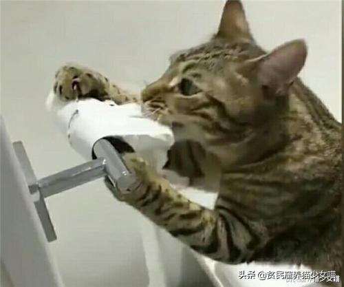 腹瀉拉稀水是什么原因,全面解析常見原因與應對之策,腹瀉拉稀水的原因及應對之策全面解析