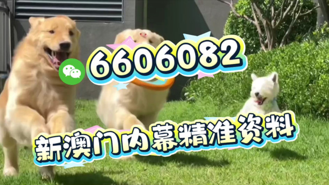 澳門今晚必開(kāi)一肖一特四不像,探索生肖與特碼背后的秘密,澳門生肖與特碼背后的秘密探索