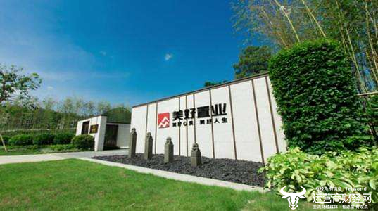 美好置業(yè),打造理想居住的優(yōu)選之地,美好置業(yè),理想居住的優(yōu)選之地