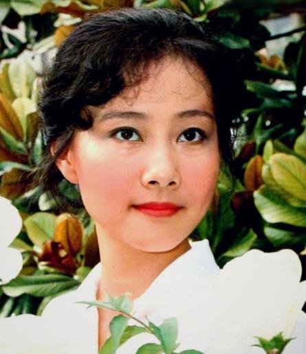 黃梅瑩個人資料及其丈夫探秘,黃梅瑩個人檔案揭秘,丈夫身份探秘