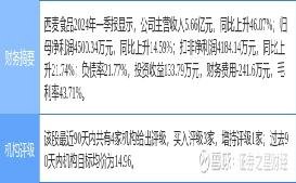 揭秘股票代碼002956,投資潛力與風險控制策略分析,揭秘股票代碼002956,投資潛力與風險控制策略深度解析