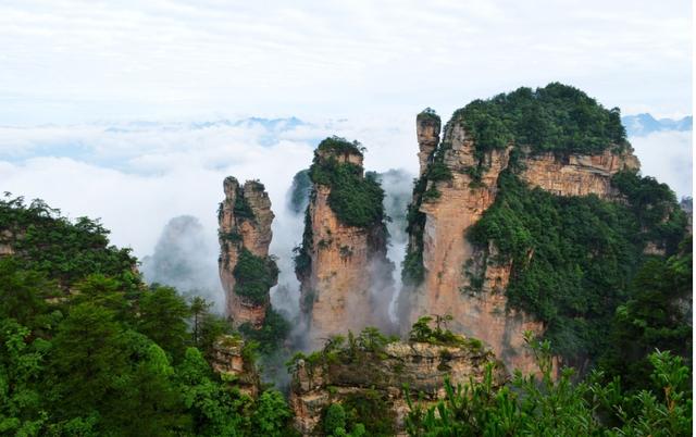 張家界森林公園簡介，自然之美的獨特呈現(xiàn)，張家界森林公園，自然之美的獨特呈現(xiàn)